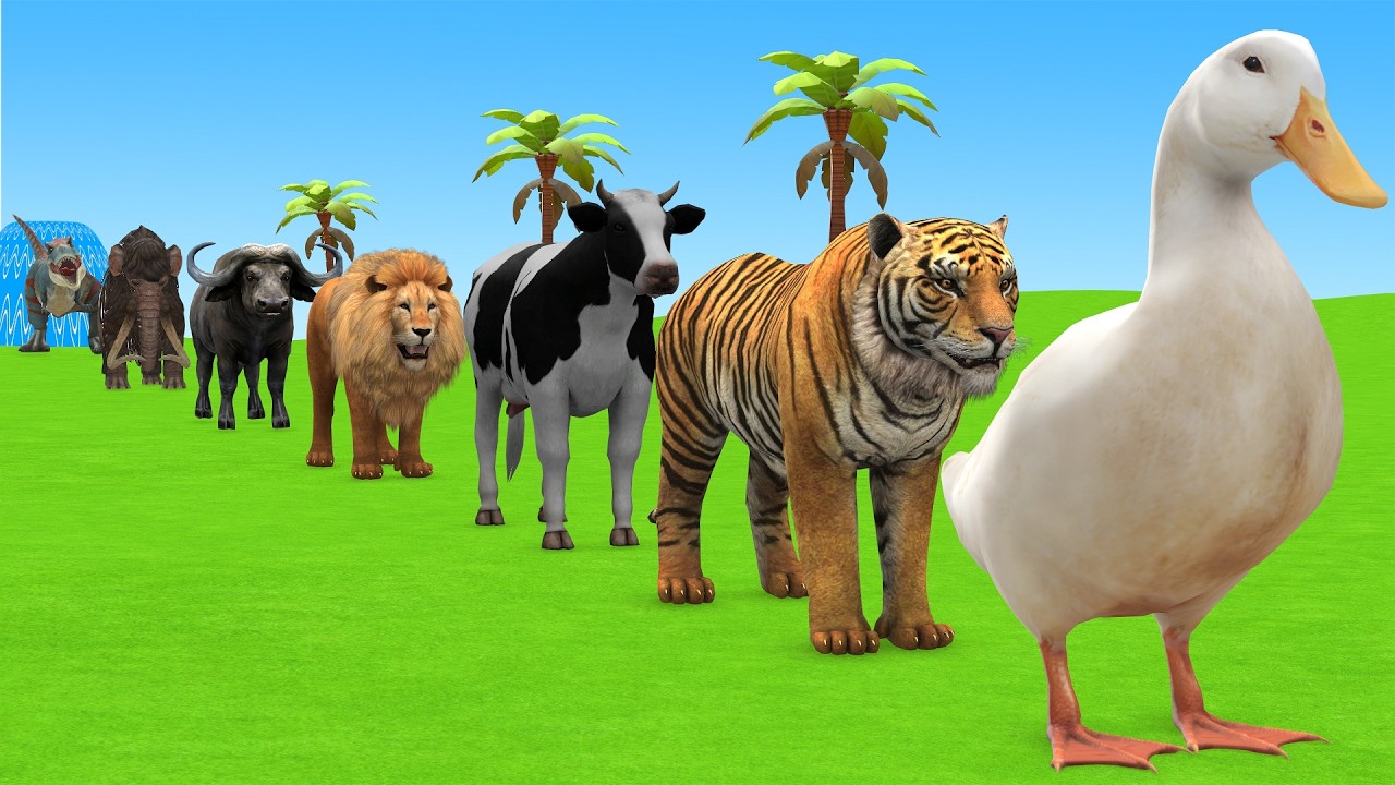 Long Slide Game with Cow Elephant Gorilla Hippopotamus Tiger 3d Animal Game Funny 3d Animals