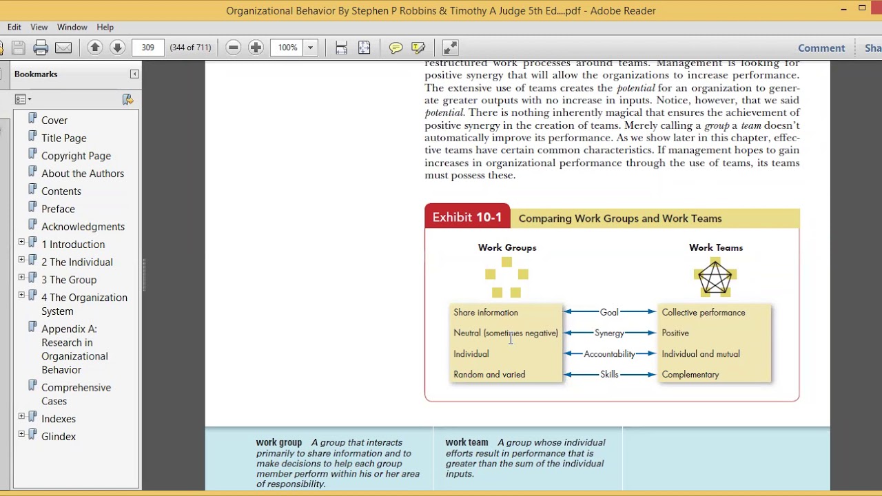 Organizational Behavior Ch.10 (Types of Teams)