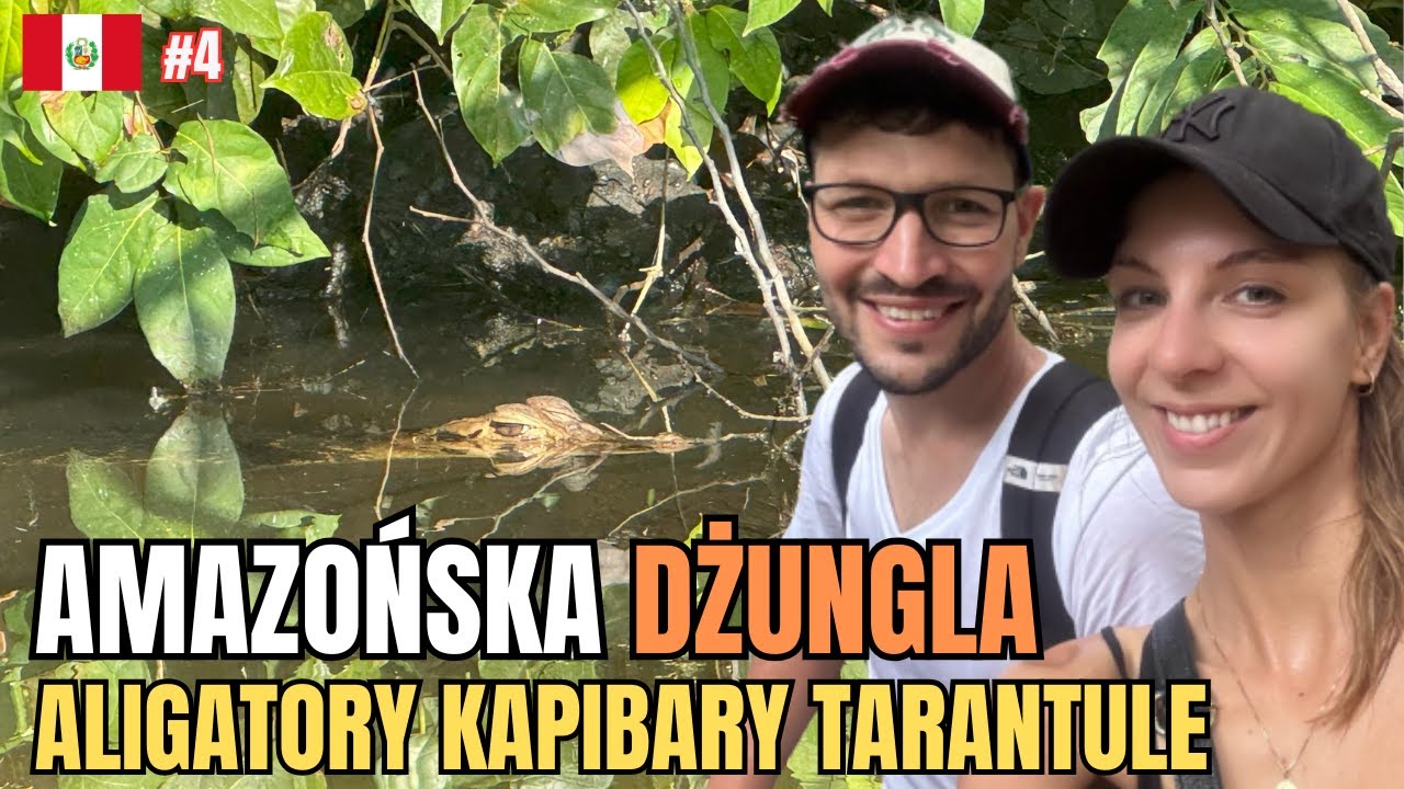 Amazonia – Peru: Wyprawa do Dżungli Tambopata i Puerto Maldonado | Tarantule, Aligatory, Kapibary