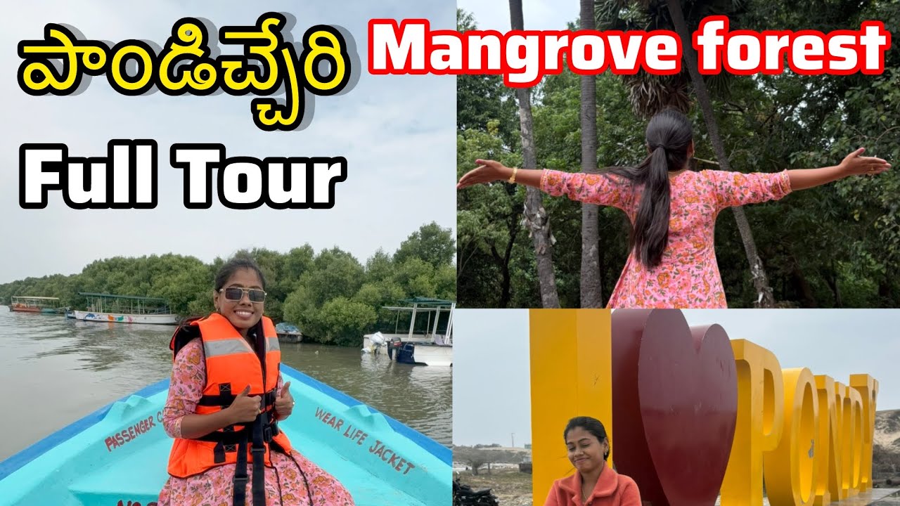 పాండిచ్చేరి Trip Full Details In Telugu || Mangrove Forest Boating 🛶 & beaches details 