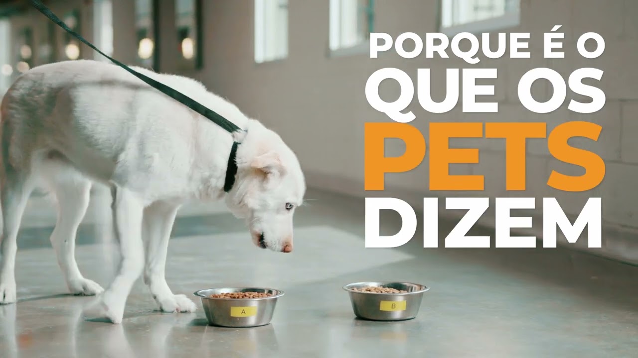 AFB International Company Video (Portuguese)