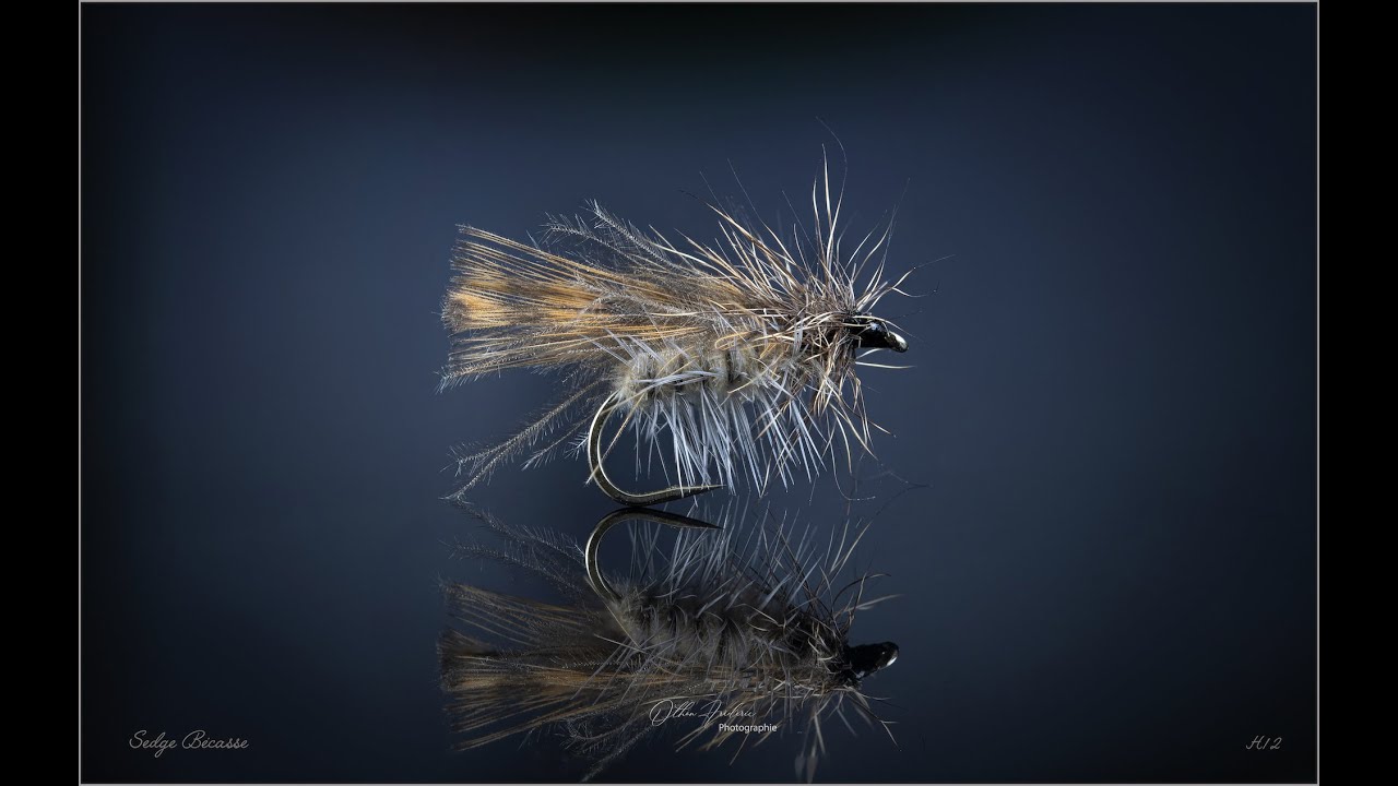 Sedge Cul Becasse
