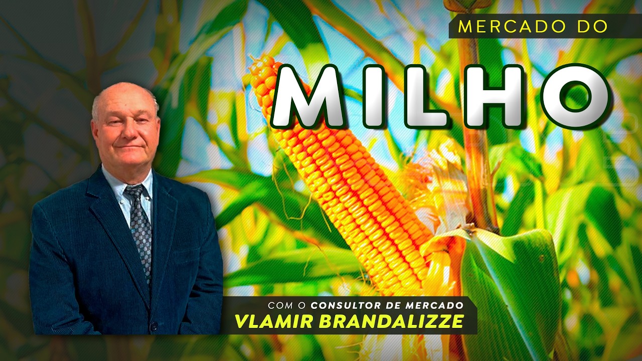 Qual será o tamanho da safrinha de milho?