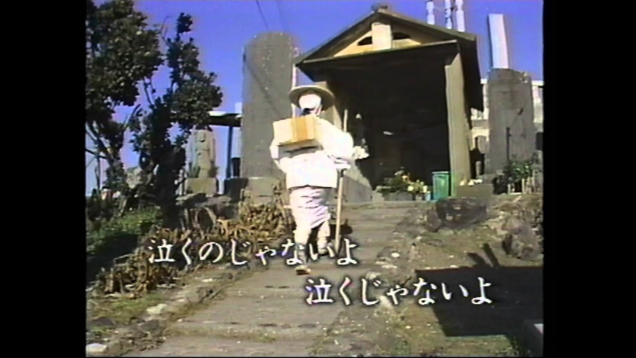 涙の渡り鳥