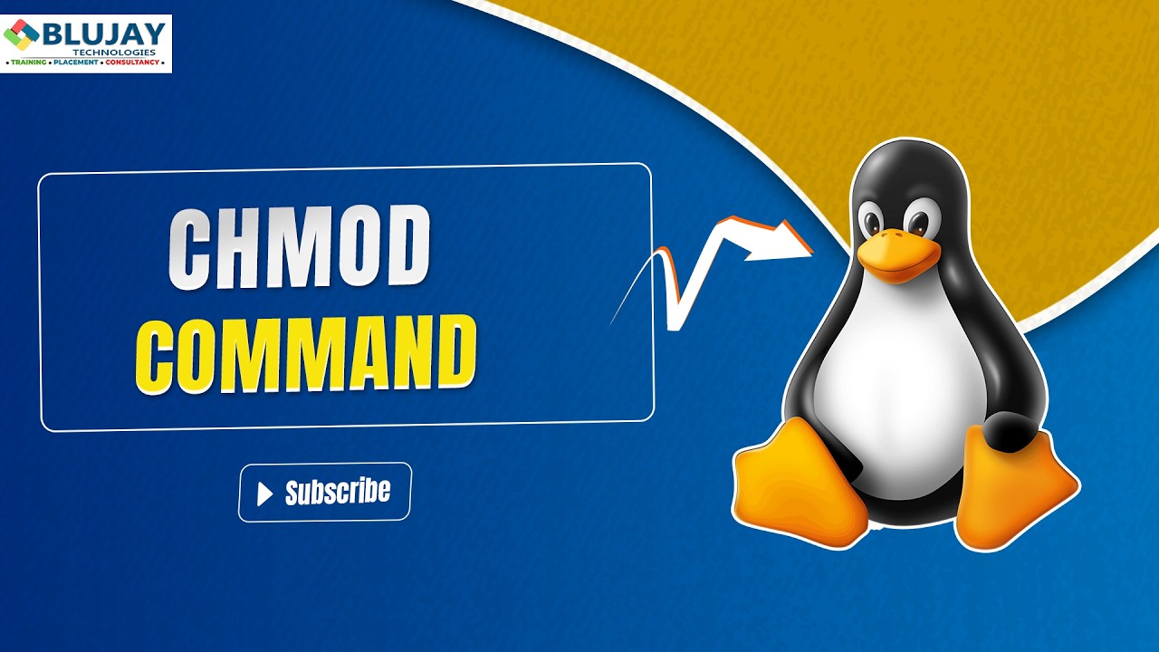 КОМАНДА CHMOD ОЧИСТИТЬ ПОЯСНЕНИЕ