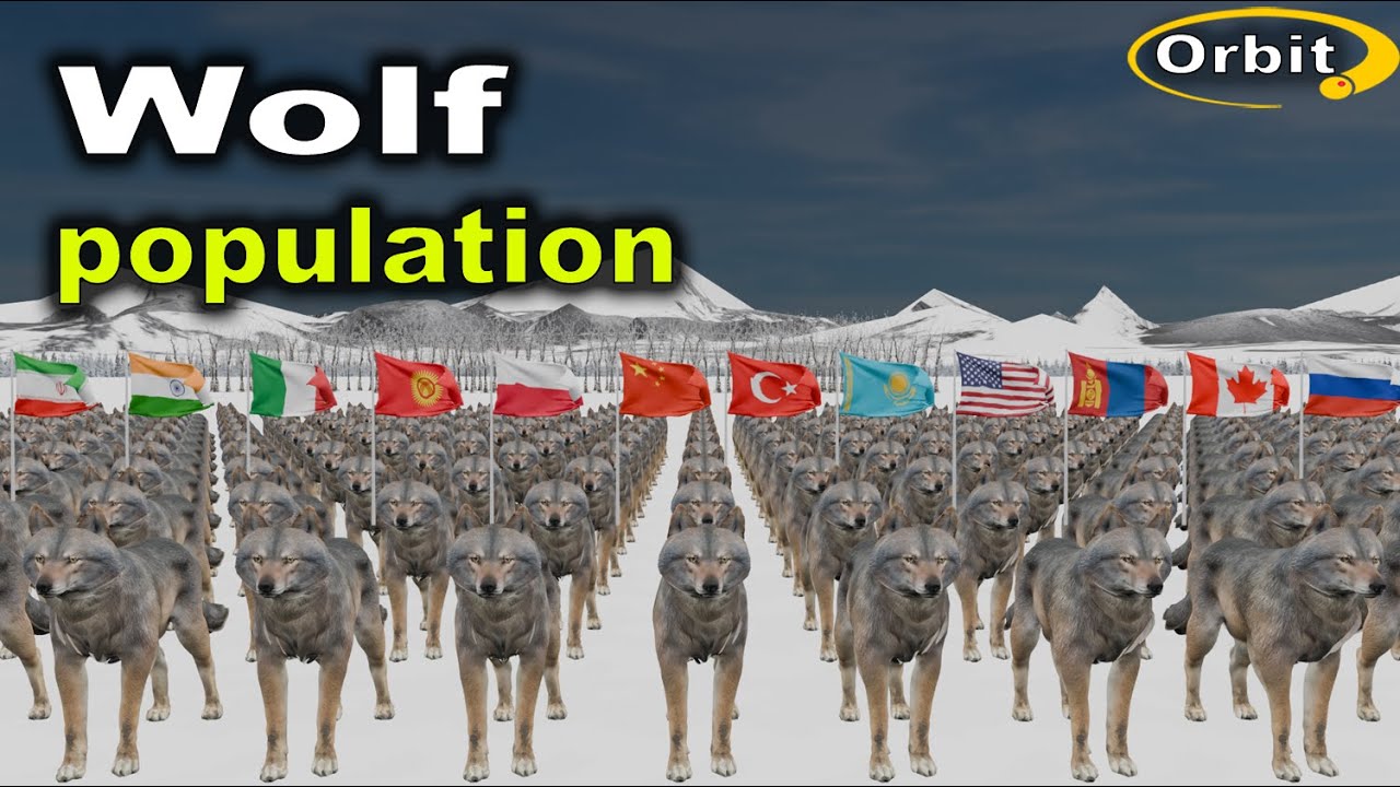 Wolf population by Country 2025
