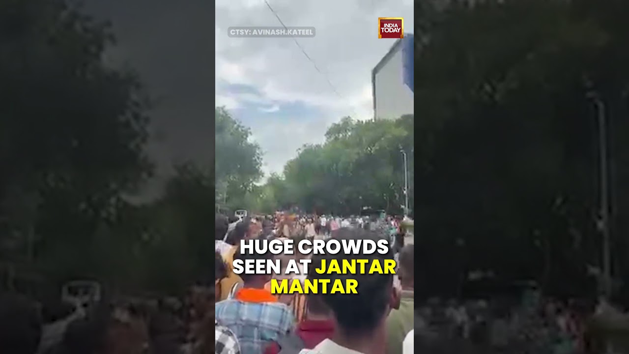 CJP Protest: Huge Crowds Gather At Jantar Mantar Amid Massive Protest #cjp #jantarmantar