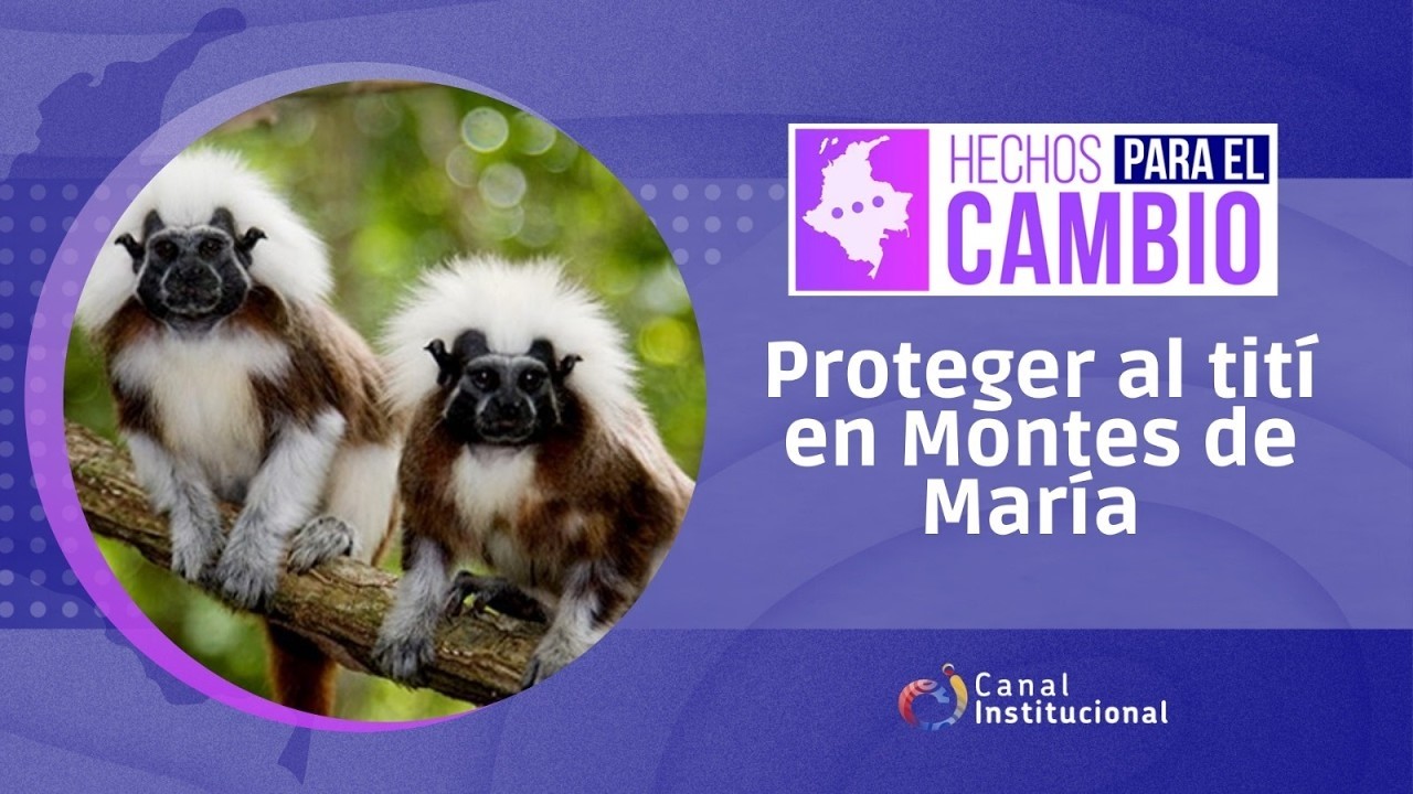 Hechos para el cambio - Capítulo 12