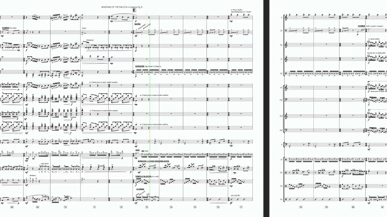 Windows of the Maloca (score playback)