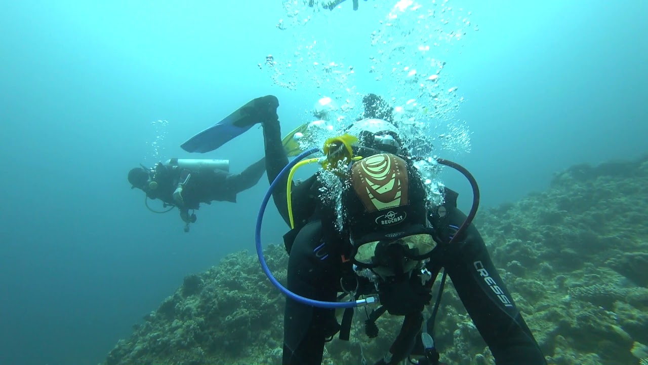 Abu Hilal dive site.  Dahab.  Egypt
