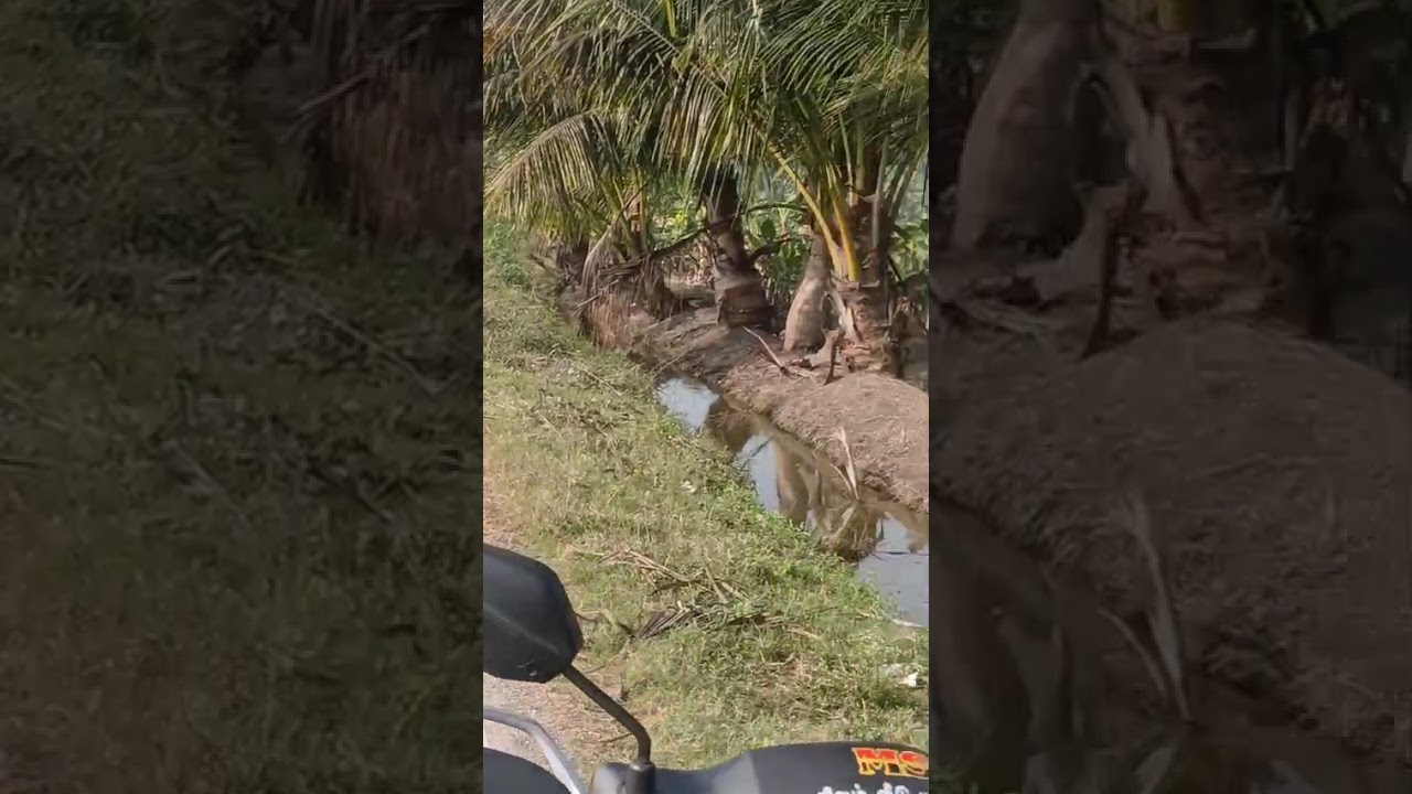 சென்னை பெங்களூர் NH 1km காவேரிப்பாக்கம் பேரூராட்சி 10 ஏக்கர் நஞ்சை சர்வீஸ் போர் ஒரு சென்ட் ₹40000🙏