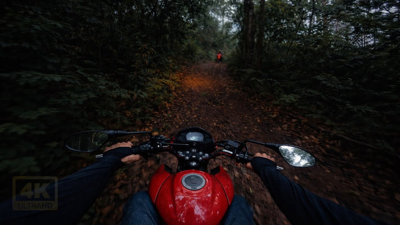 SAÍMOS DE MOTO PRA ACAMPAR NA FLORESTA - EP 1