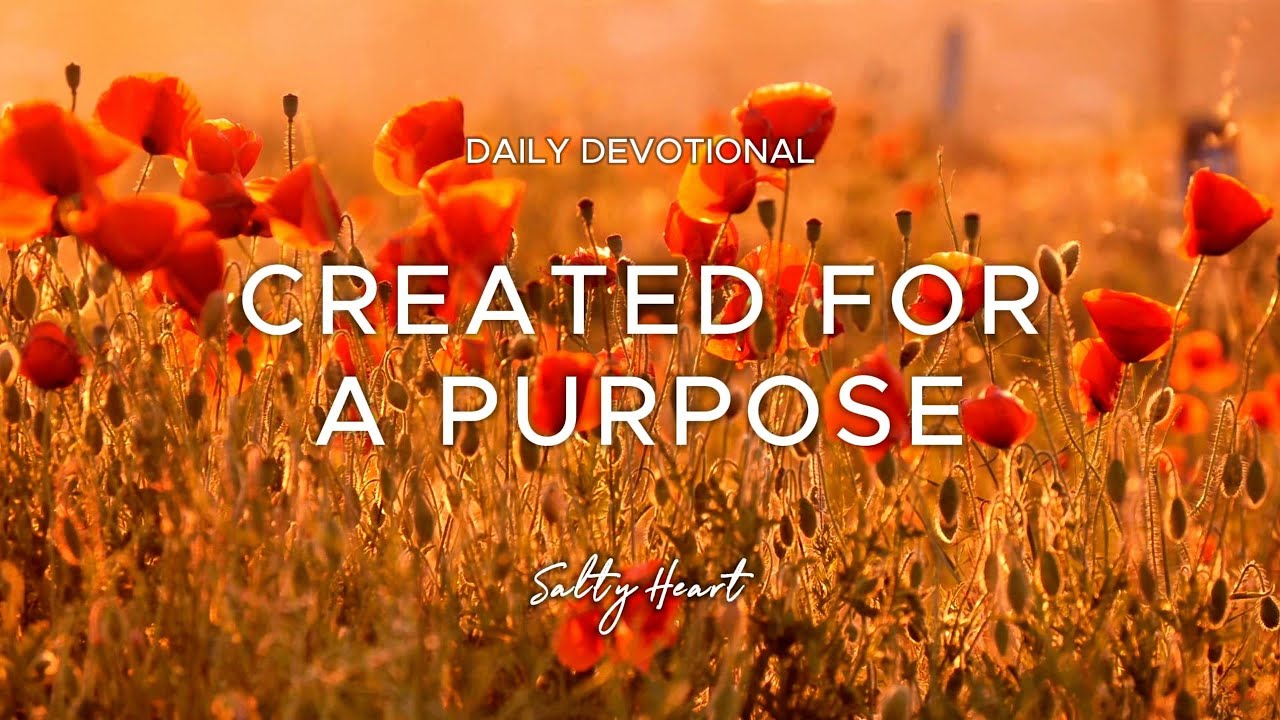Women - Created for a Purpose | Genesis 1:27 | Daily Devotionals