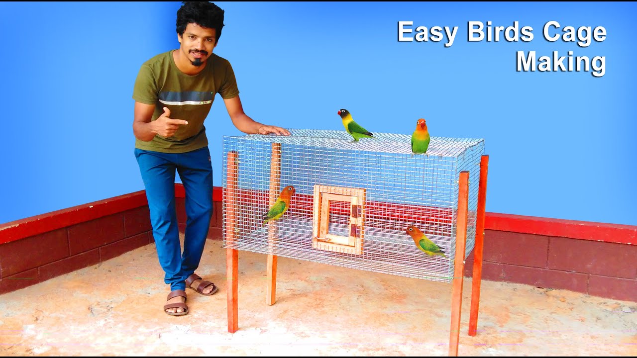 Easy Way To Make Birds Cage at Home | How To Make Birds Cage Using Irone Net