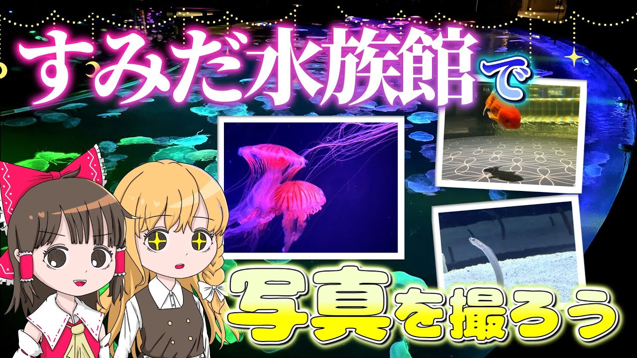 ヤバすぎる水槽盛りだくさん！すみだ水族館でいい感じの写真を撮ろう！霊夢と魔理沙がすみだ水族館に行くよ【ゆっくり実況解説】【旅行Vlog】