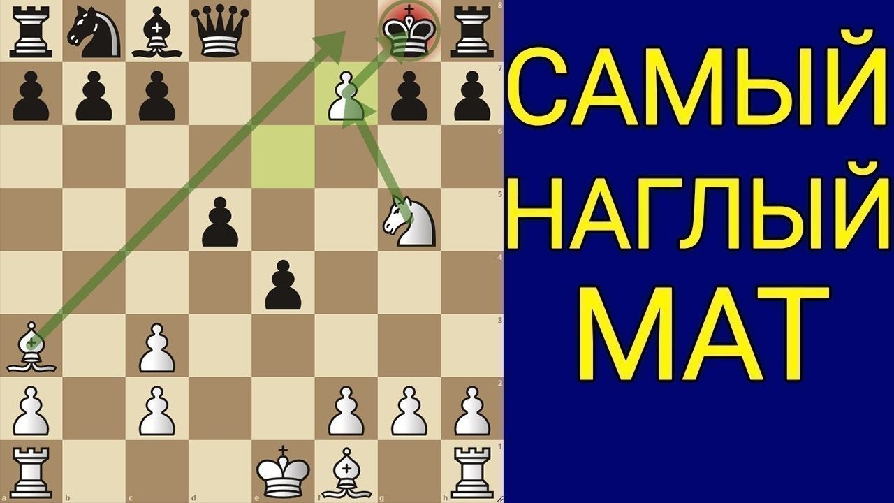 Этот мат один из самых красивых в шахматах. Шахматы ловушки