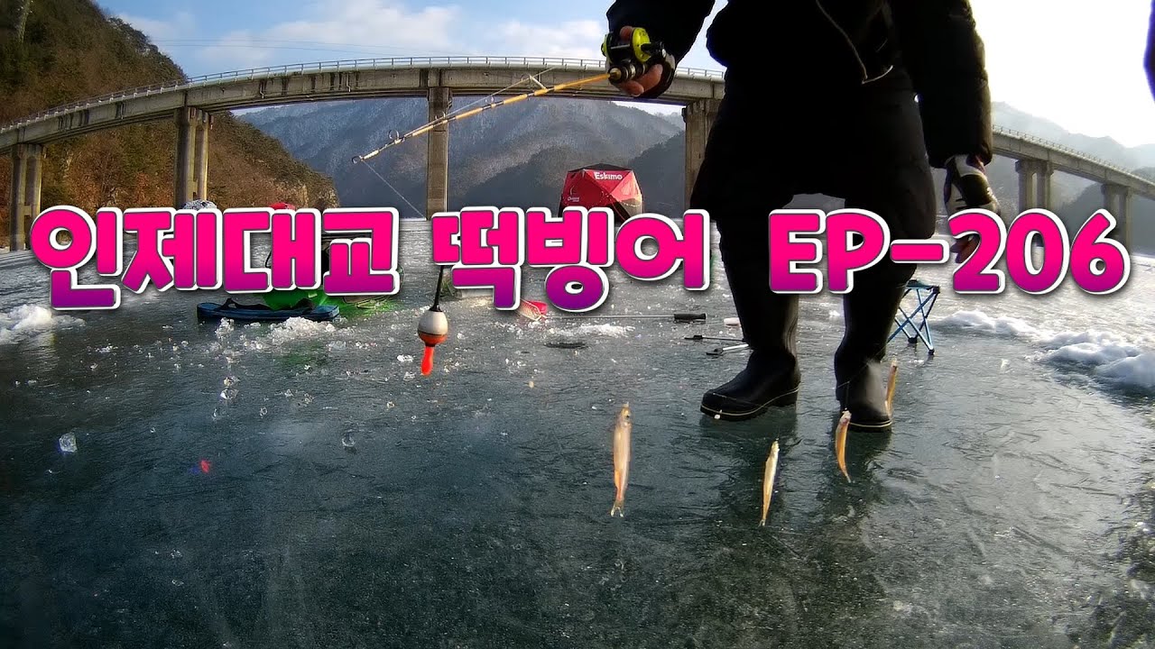 초보도 할 수 있는 빙어낚시 유동찌 채비법 EP-206