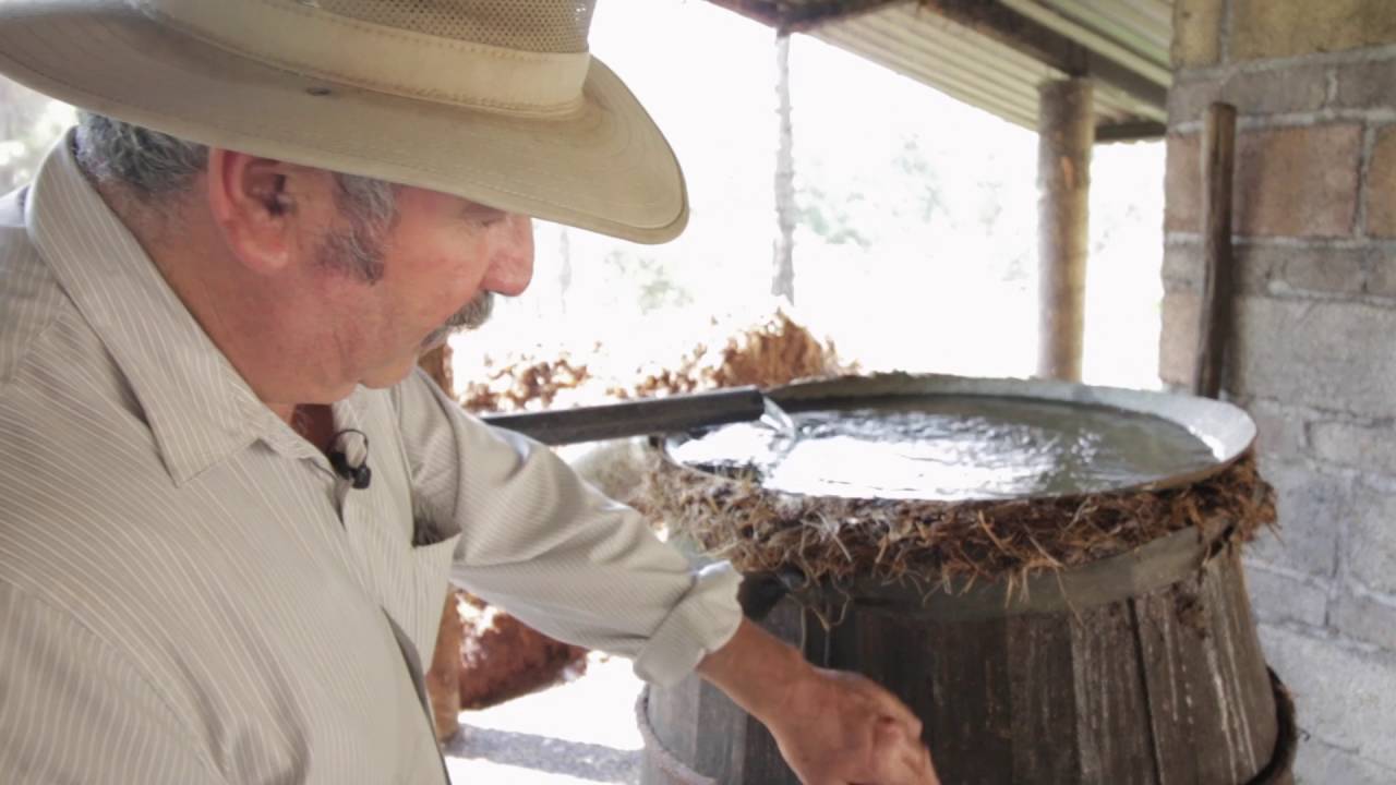 Destilando Mezcal - Piedras de Lumbre Vlog 095