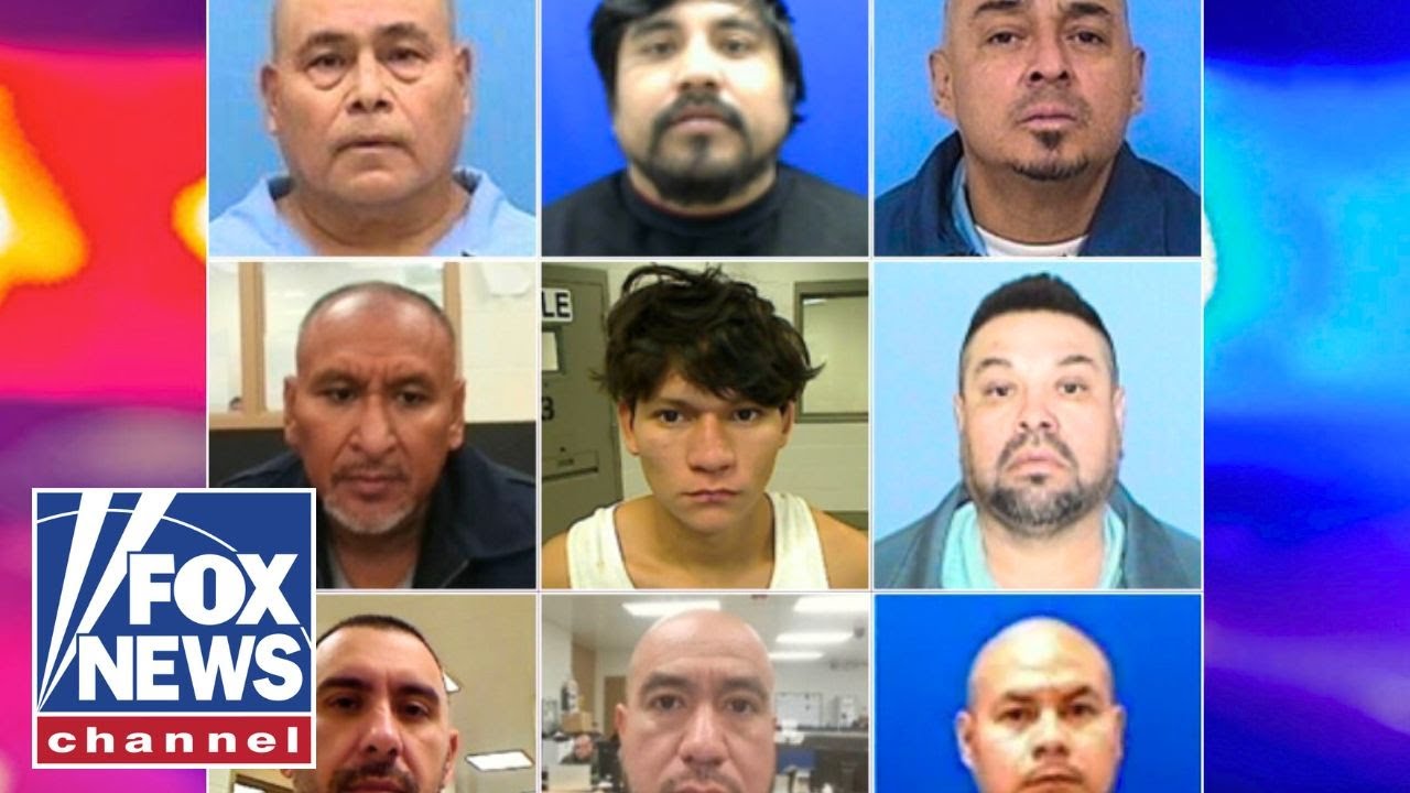 JUST IN: DHS claims 1.7K illegal migrants were released in Illinois