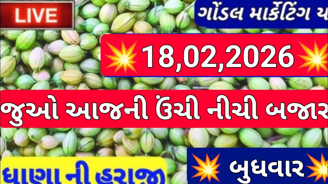 નવા ધાણા ના બજાર ભાવ / ગોંડલ નવા ધાણા ના બજાર ભાવ /18,02,2026