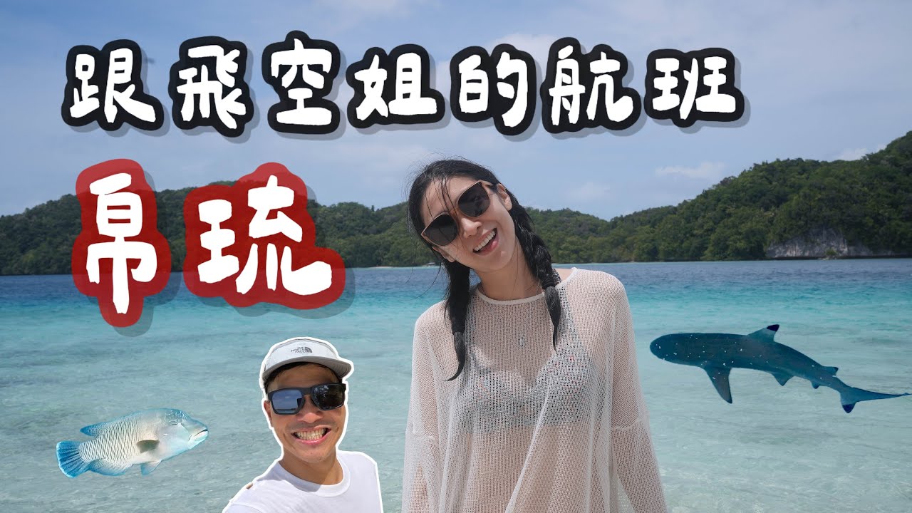 跟飛空姐的航班｜帛琉-上帝的水族箱｜和鯊魚共游 超巨的硨磲貝 海中薰衣草 蘇眉魚
