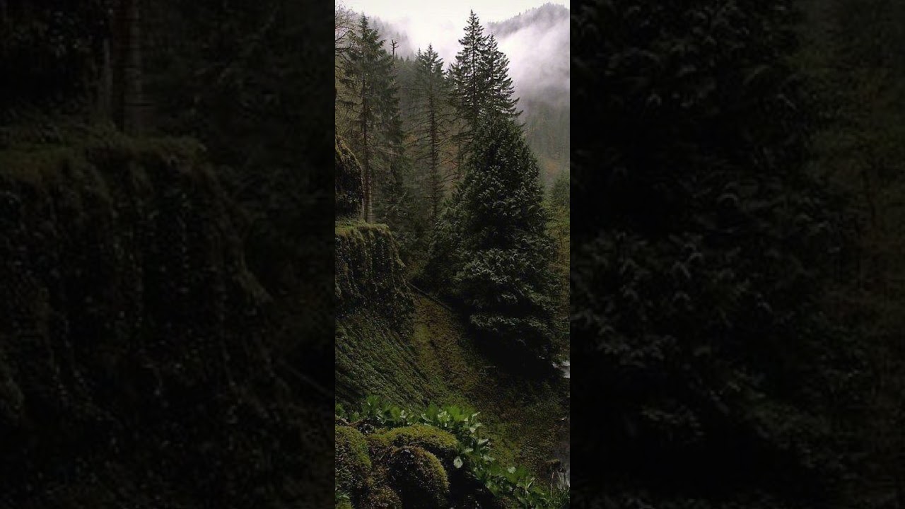 Asia - Heat Of The Moment (Slowed ♡ Reverb)