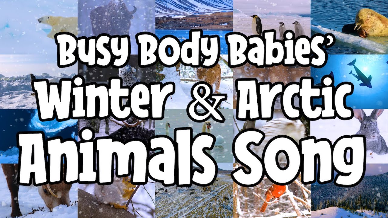 Песенка про зимних и арктических животных от Busy Body Babies | Изучение букв алфавита | Веселая ...