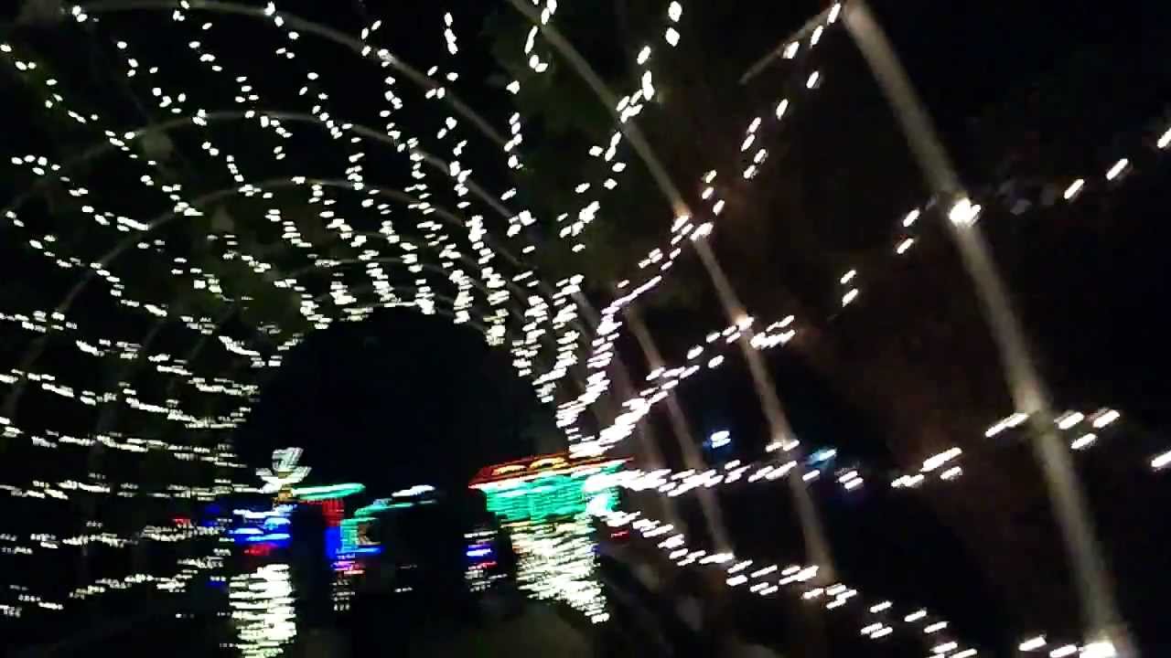 ZooLights at Fresno Chaffee Zoo 2011 (in the style of Gaspar Noé)