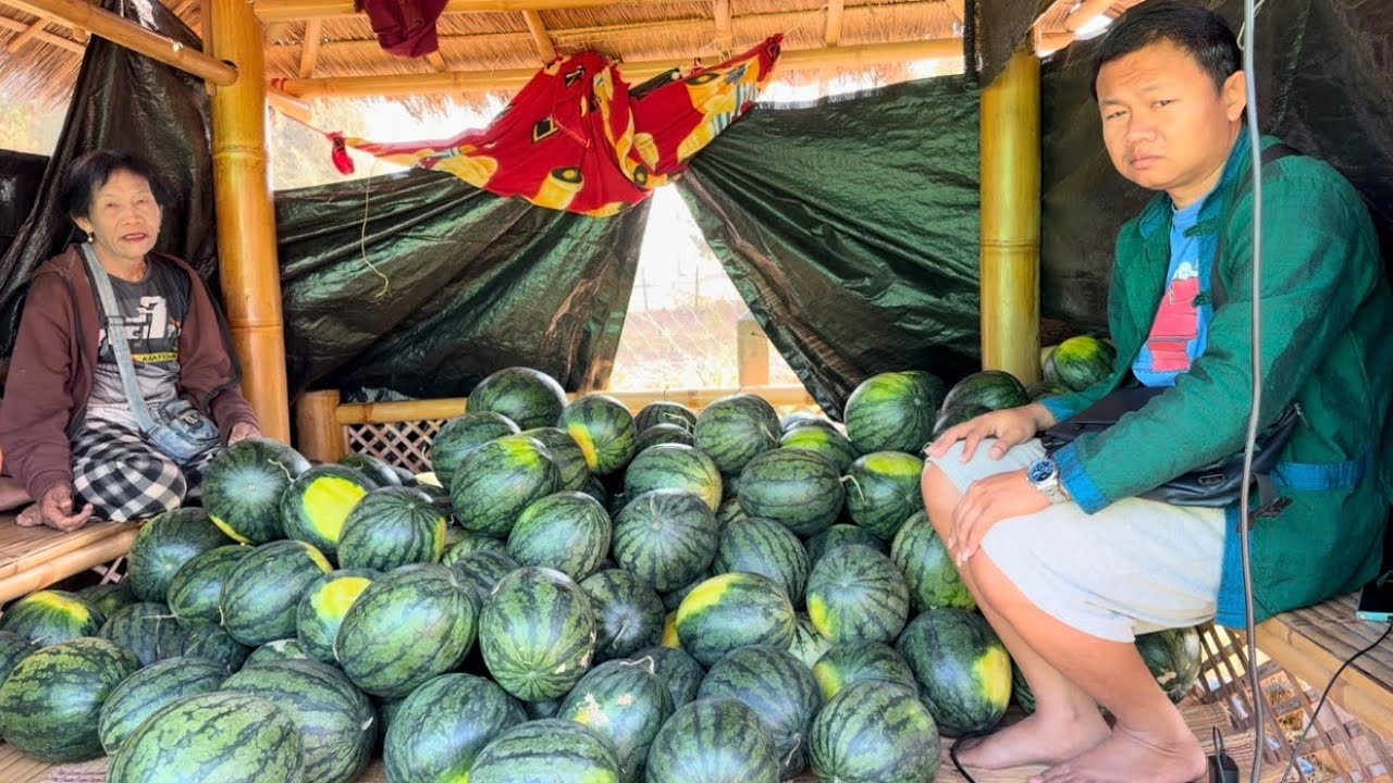 ฝากผู้ใหญ่ใจดีช่วยเหลือครอบครัวลูก 7.ด้วย ซื้อแตงโมช่วยเค้าที