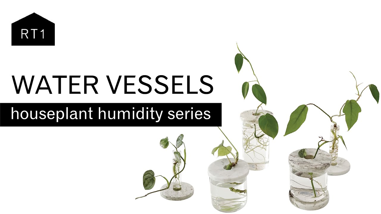 WATER VESSELS: AN ATTRACTIVE METHOD TO INCREASE HUMIDITY