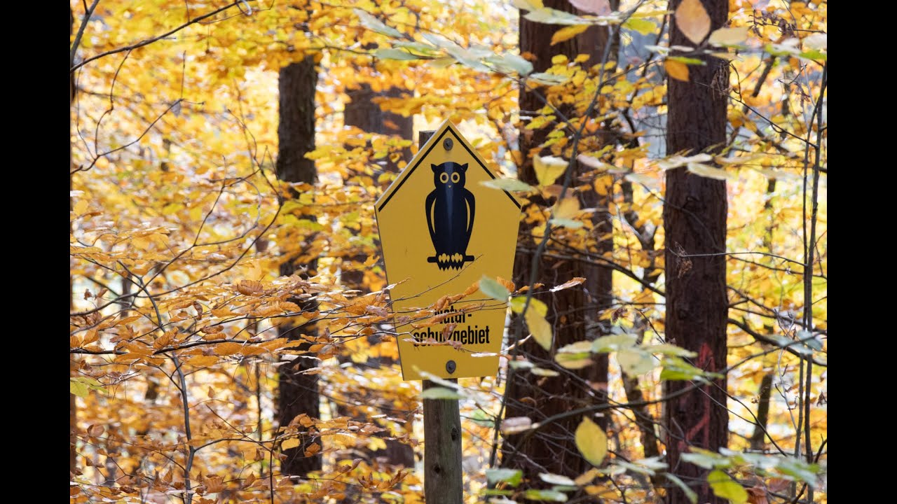 Willkommen in der Dahlener Heide