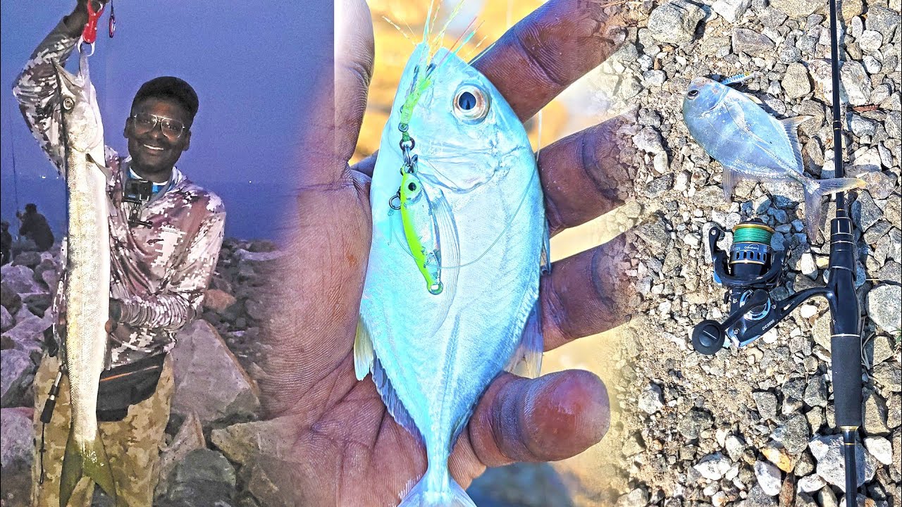 Light Tackle Sea Fishing - Big Barracuda Catch