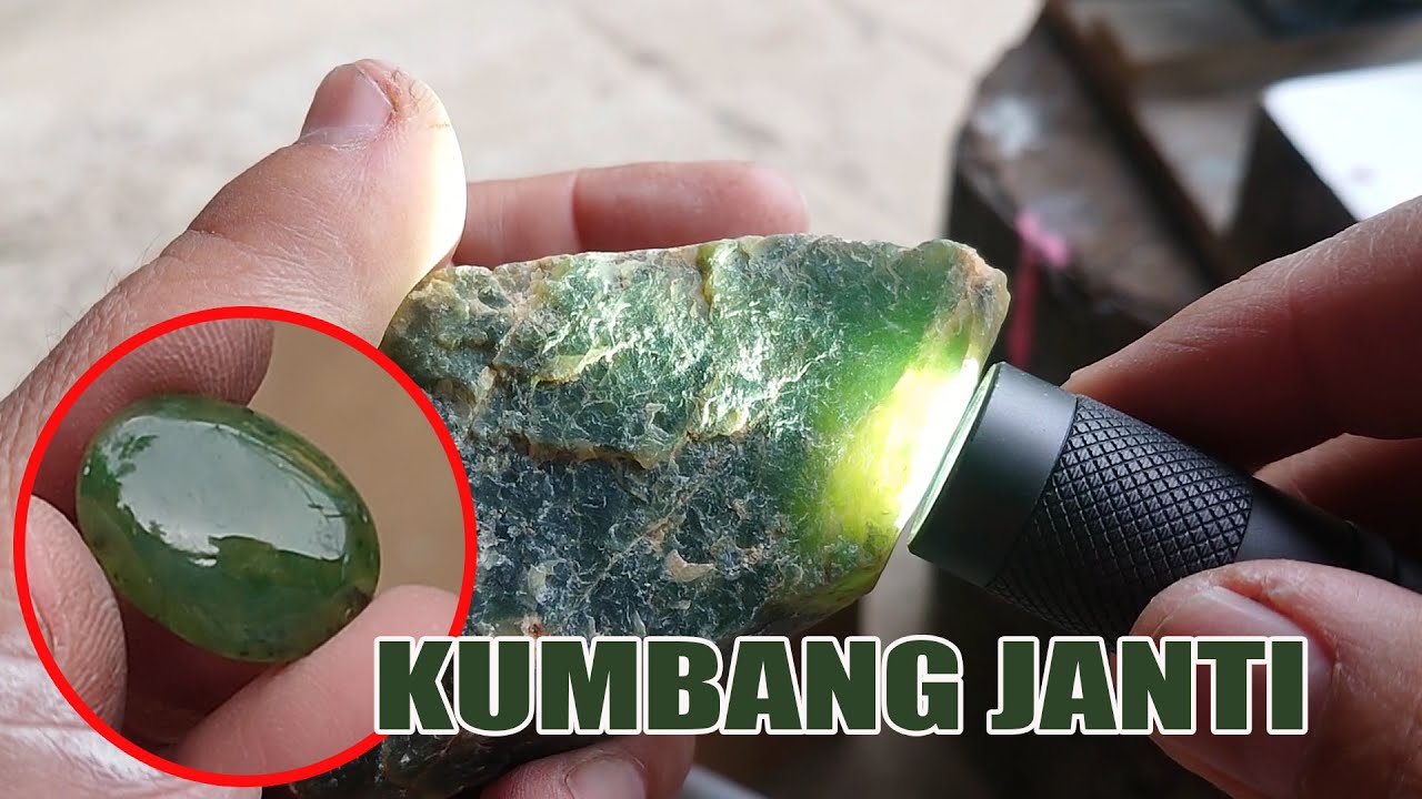 Mengolah bahan langka lumut sungai dareh kumbang janti by IN diy tutorial #lumutsungaidareh