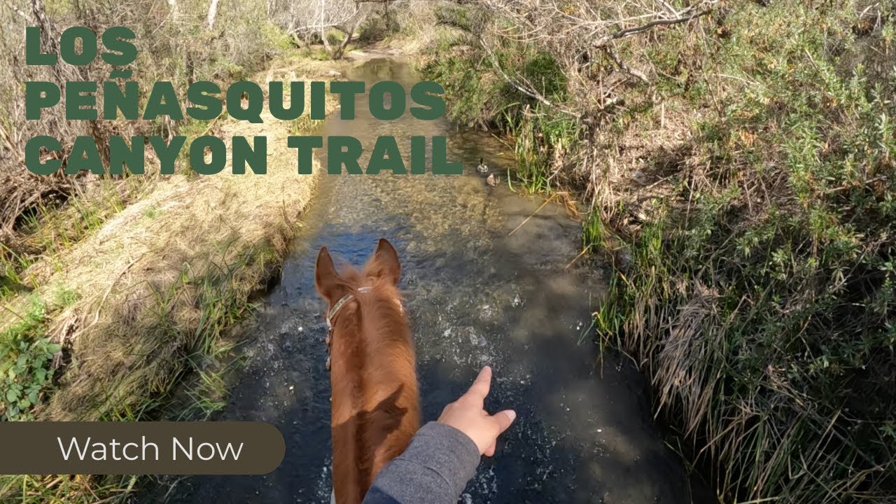 The Most Beautiful Trail You’ve Never Heard Of: Los Peñasquitos Canyon