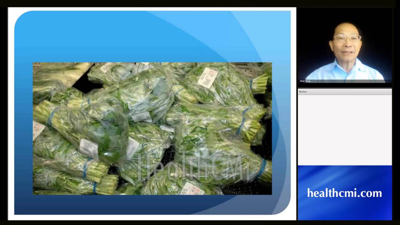 The Wisdom of Chinese Medicine Dietetics, Part 1 | Acupuncture CEUs Online
