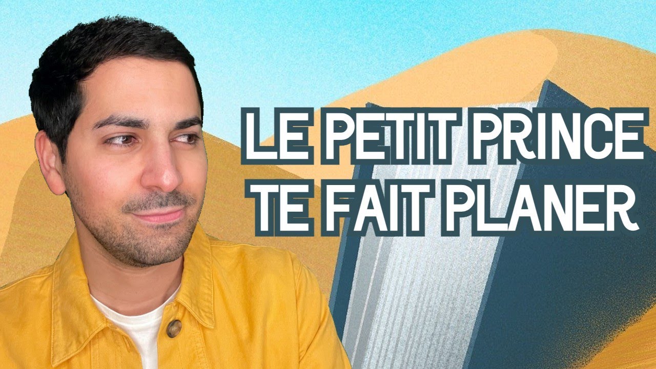 LE PETIT PRINCE TE FAIT PLANER - RÉSUMÉ