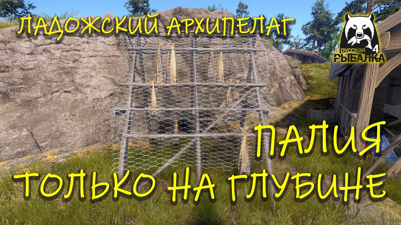 Русская рыбалка 4. рр4. Ладожский архипелаг. Палия только на глубине.