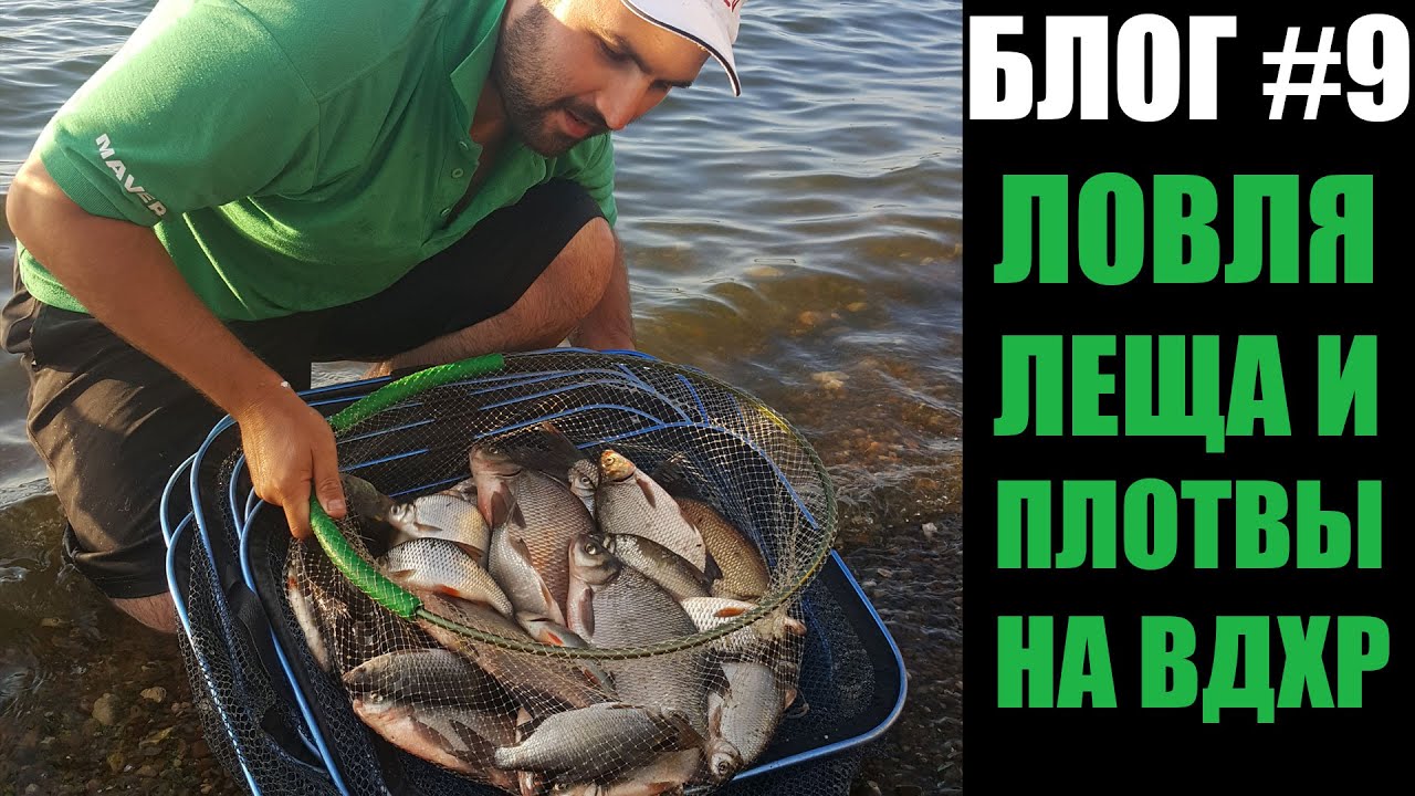 Ловля леща и плотвы на фидер на водохранилище. Рыбалка с Олегом Квициния : Vlog #9