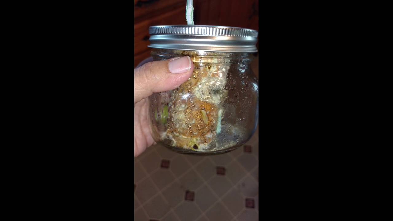 Chaga Grow Project