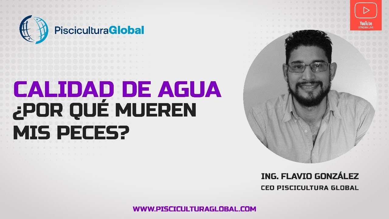 Calidad de Agua ¿Por qué mueren mis peces?