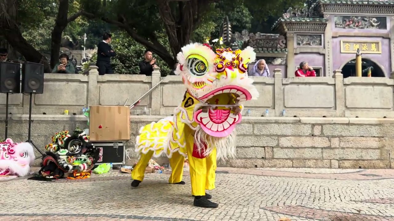 2025第42屆#澳門公益金百萬行#傳統青陣 ：椰子青#澳門業餘體育會 #黃昌洪拳第五傳 