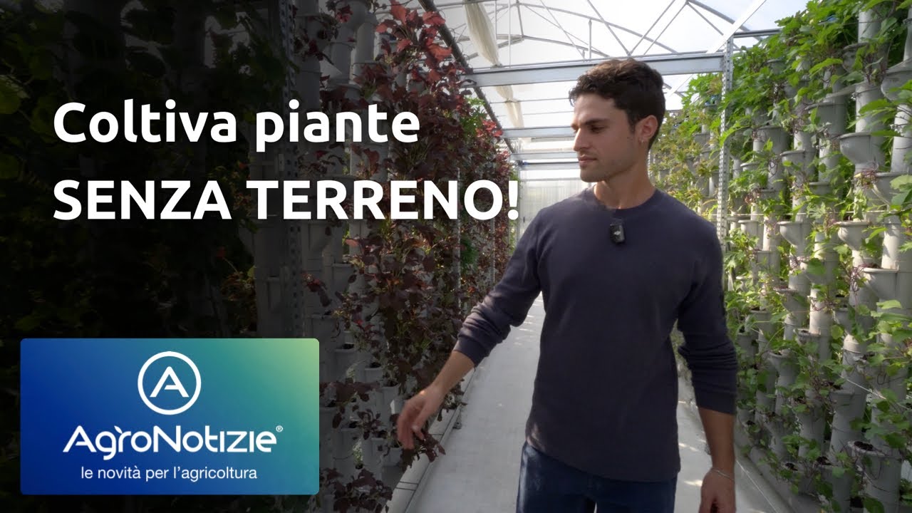Viaggio in un impianto di idroponica tra sfide e opportunità