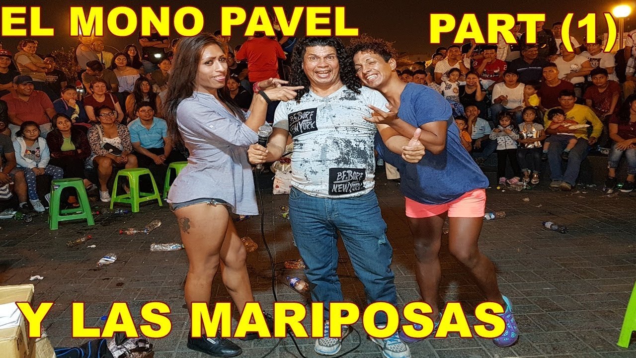 el mono pavel 