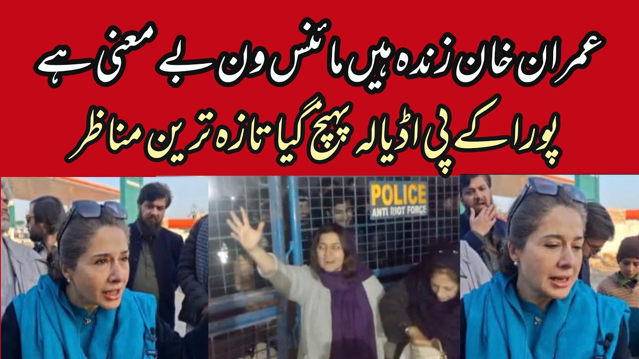 Imran Khan Is Alive, Minus-One Narrative Rejected | Shandana Gulzar | KP Crowd Reaches Adiala Jail