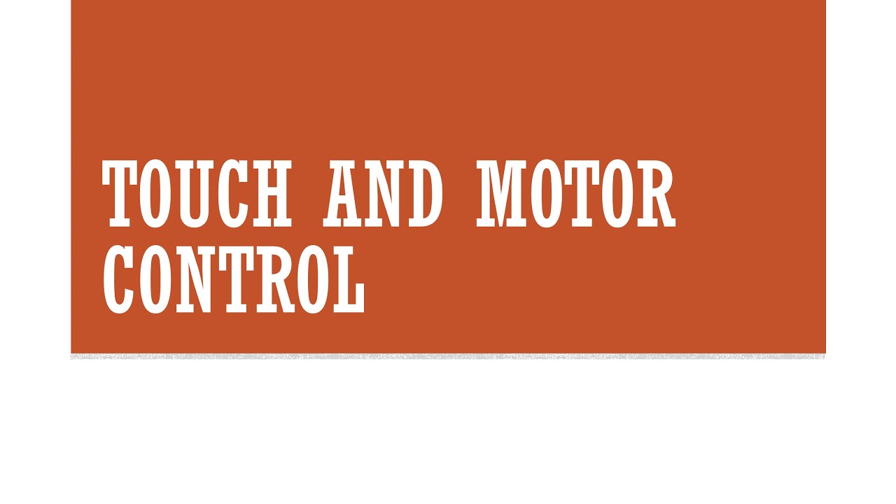 Touch and Motor Control
