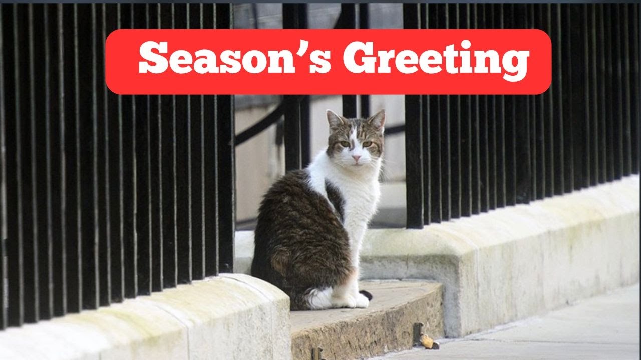 Larry, The Downing Street Cat - Season's Greeting