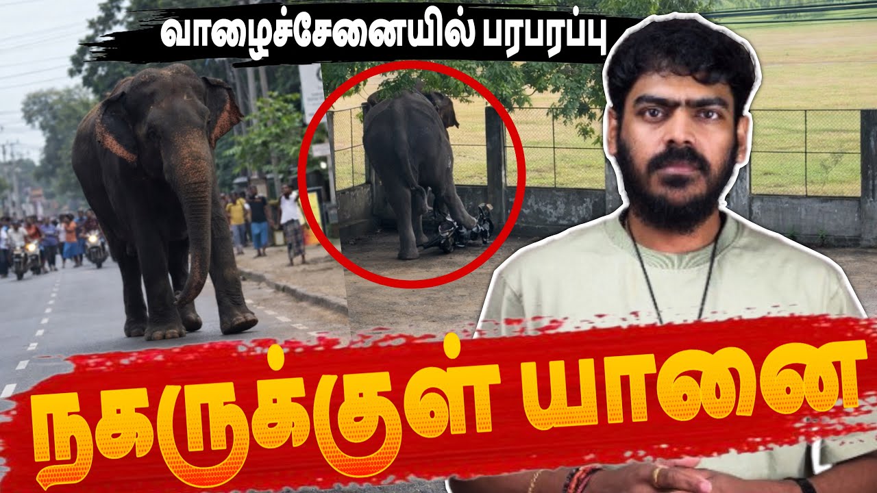 😱வாழைச்சேனையில் பரபரப்பு! | கிளிநொச்சி துப்பாக்கிச்சூடு | Sri Lanka | Tamil News 