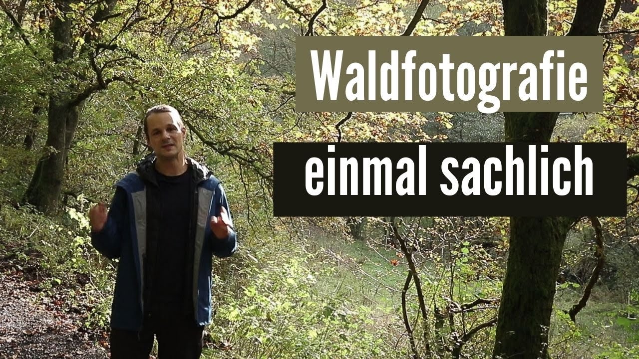 WALDFOTOGRAFIE- einmal sachlich