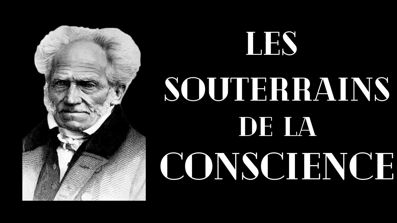 SCHOPENHAUER - C'est quoi le désir ?