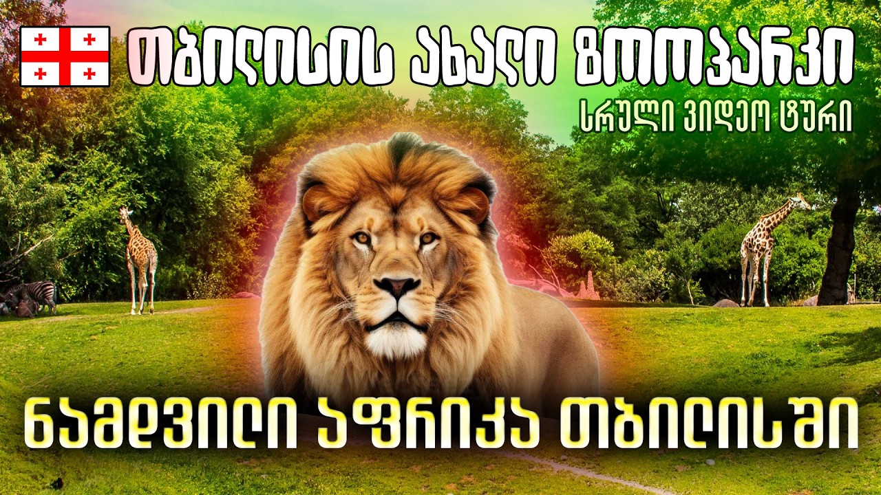 როგორი იქნება თბილისის ახალი ზოოპარკი 🐻 სრული ვიდეო ტური 🫎 როდის იხსნება Tbilisi Zoo